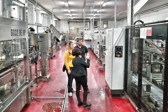 Discover the best cellars of Salento - Visiting Salentos Top Wineries