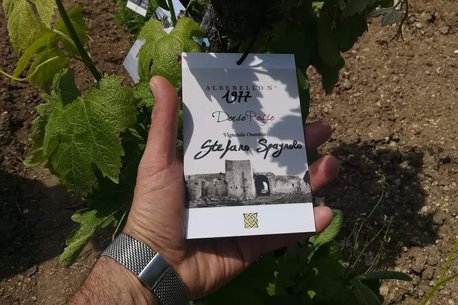 Discover the best cellars of Salento - The Guide: Stefanos Expertise and Approach
