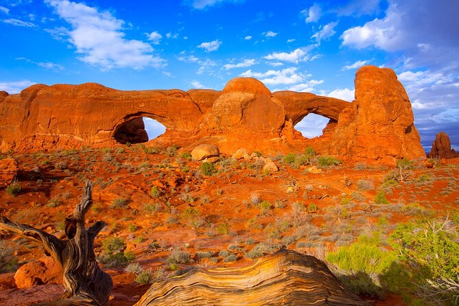 Discover The Best Of Moab In A Day: Arches Canyonlands Dead Horse - Iconic Stops in Moab: From the Road to the Trail