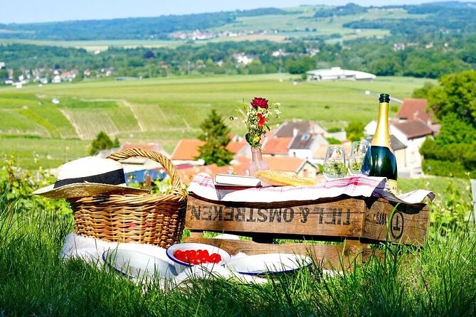 Discover The Cellars in The Heart of The Countryside in Champagne - Key Points