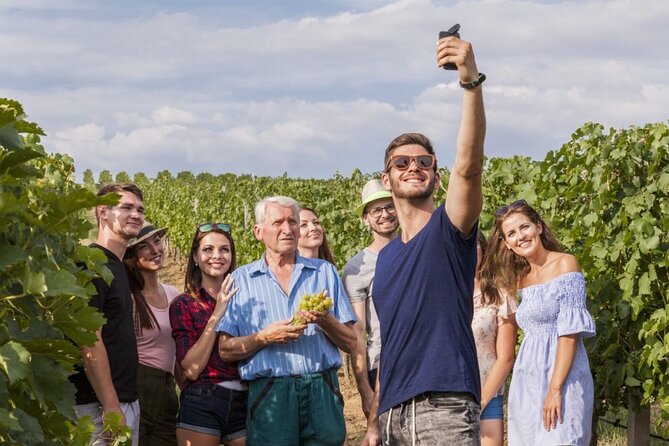 Discover The Cellars in The Heart of The Countryside in Champagne - Visit Dom Caudron for a Tasting of Three Champagnes