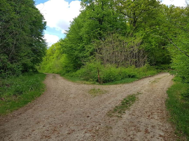 Discover the Charm of Guteria Hill/Sibiu Panorama - Climbing to the Historic Tower on Guteria Hill