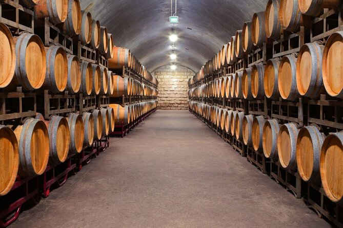 Discover the Charm of Porto with a Picturesque Private Journey - Experience Porto Wine Tasting at Burmester Caves