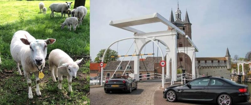 Discover the Dutch Countryside: Car Tour with Local Expert - Discover the Dutch Countryside: Car Tour with Local Expert