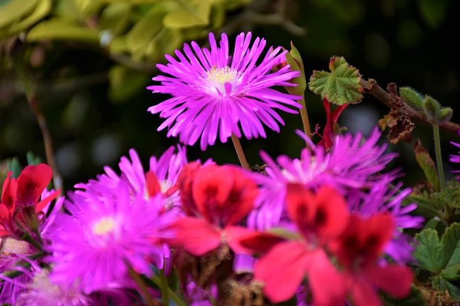 Discover The East - Madeira Island - Reaching the Heights at Pico do Areeiro