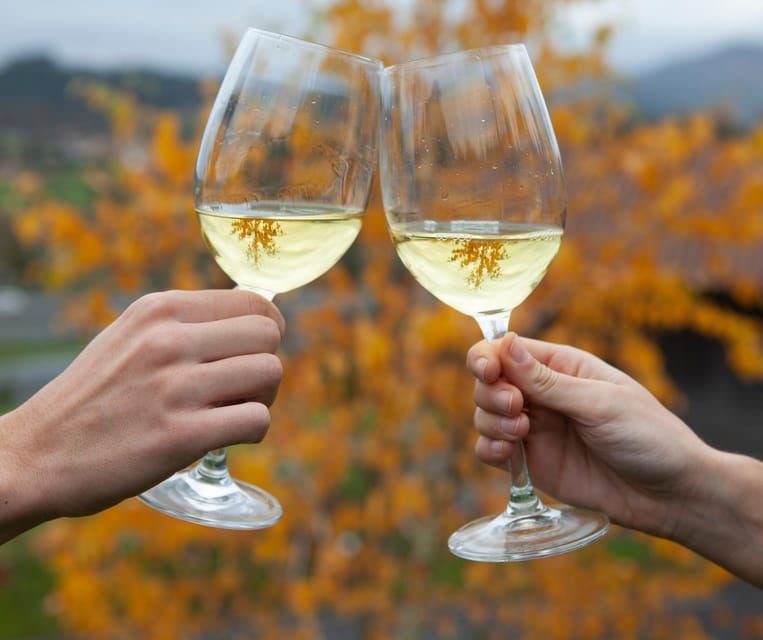 Discover the Essence of Txakoli Wine from San Sebastian - Guided Tour with a Knowledgeable Expert