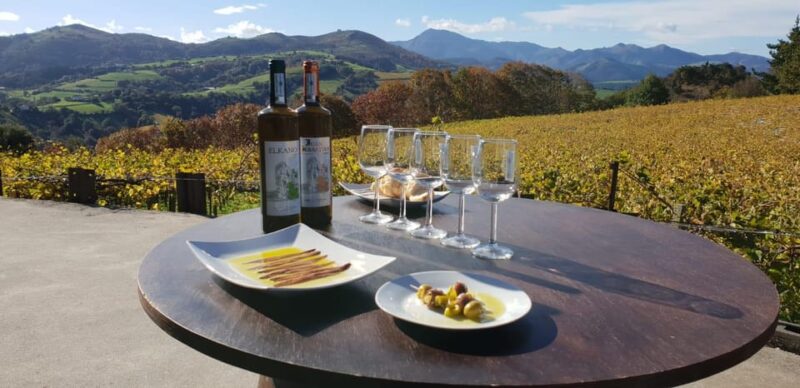 Discover the Essence of Txakoli Wine from San Sebastian - Flexibility and Practical Details