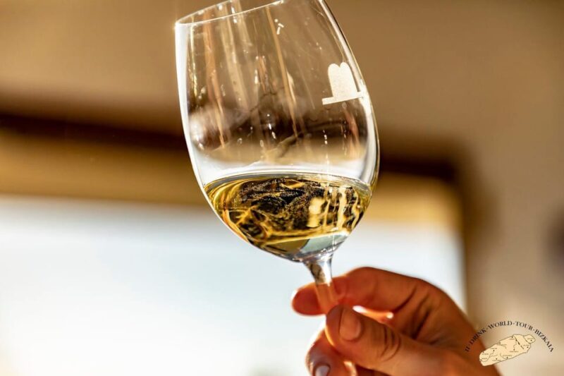 Discover the Essence of Txakoli Wine from San Sebastian - What Sets This Tour Apart