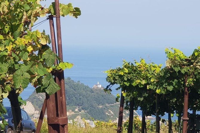 Discover the Essence of Txakoli Wine from San Sebastian - Tasting and Food Pairings at the Txakoli Winery