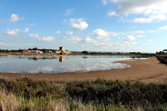 Discover the Etruscans - Limitations and Considerations