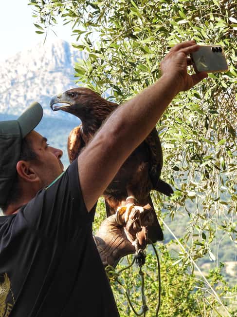 Discover the fantastic world of birds of prey in the Pollino National Park. - Discover the World of Birds of Prey in Pollino National Park