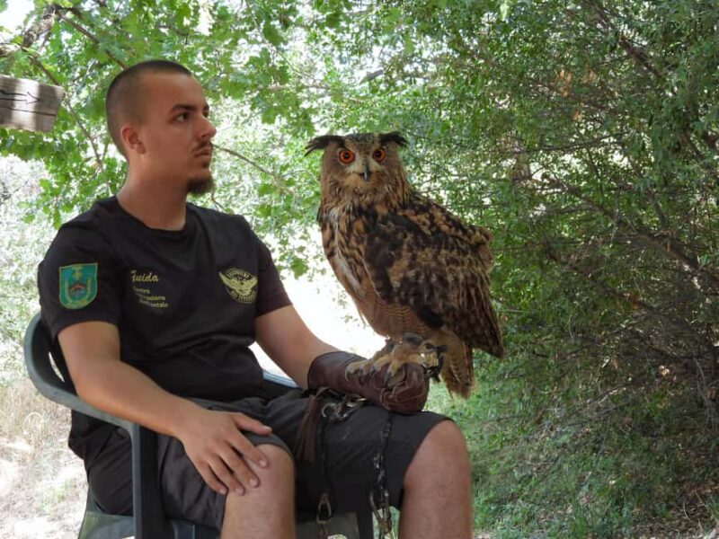 Discover the fantastic world of birds of prey in the Pollino National Park. - Key Points