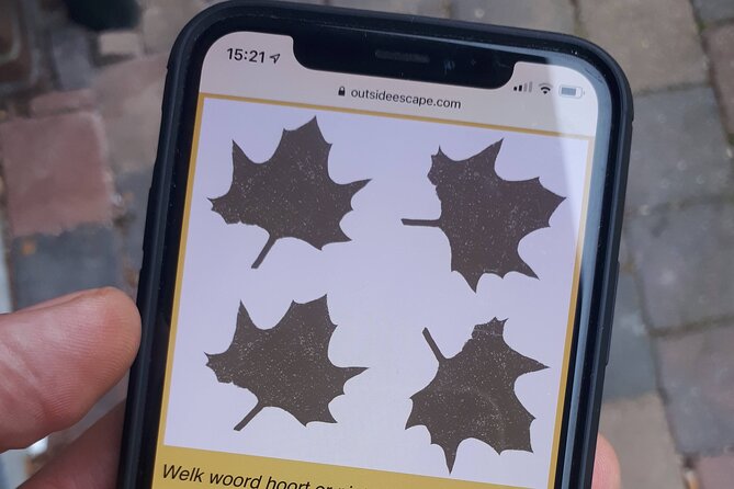 Discover The Hague's scenic courtyards in an Outside Escape game! - Limitations Noted in Reviews