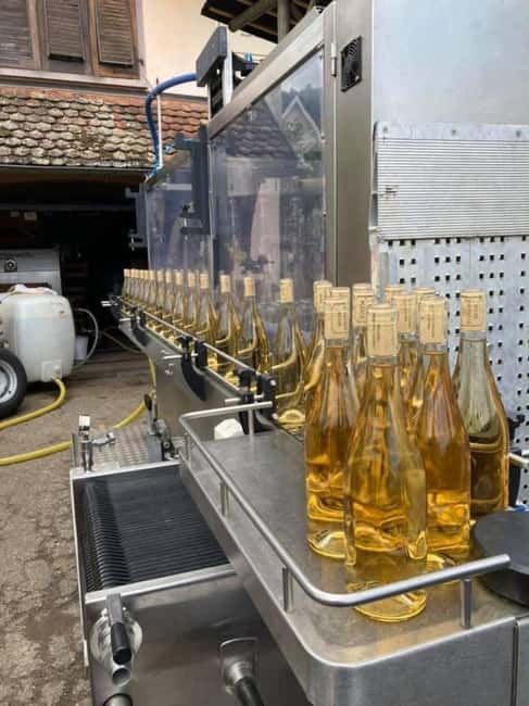 Discover the Heart of Alsace in Riquewihr - Wine Tasting with Passionate Family Winemakers