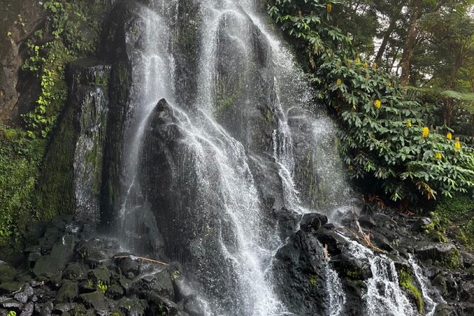 Discover the Hidden Gems of São Miguel - Full Day Private Tour - Starting Point and Tour Logistics in São Miguel