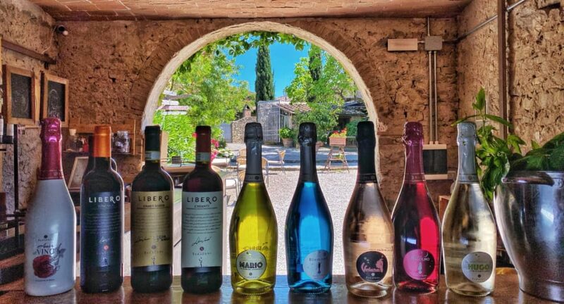 Discover the historic house of Niccolò Machiavelli; - Discover Machiavelli’s Home and Taste Tuscan Wines in Just an Hour