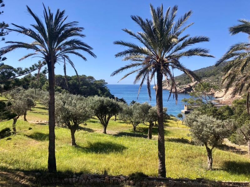 Discover the Island Dragonera by kayak and on foot - Return Journey and Safety Measures on the Water