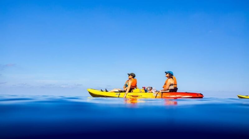 Discover the Island Dragonera by kayak and on foot - Final Thoughts on the Dragonera Kayak and Walking Tour