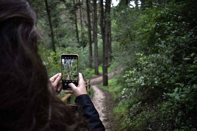 Discover the Lake Agnes Tea House Trail with an Audio Nature Tour - Wildlife and Nature in Banff National Park