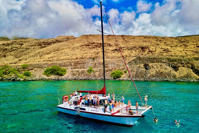 Discover the Magic of Coral Gardens Turtle Town - Maalaea Harbor - Crew Expertise and Guest Experience
