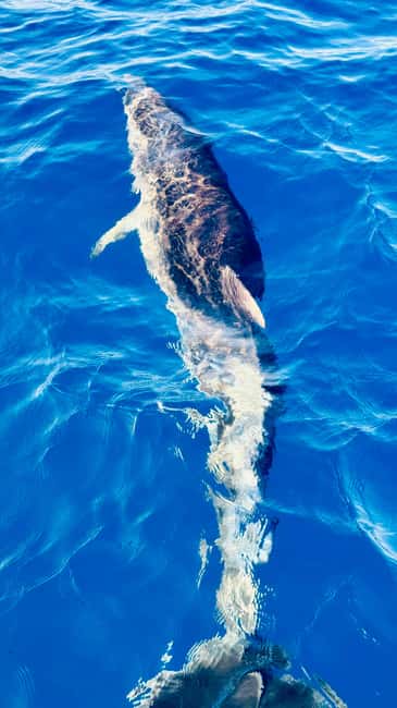 Discover the magic of sailing: a boat tour in Catania - Practical Tips for Making the Most of the Tour