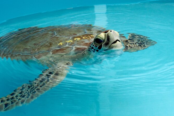 Discover the Marquesas Keys Private Experience - Discover the Marquesas Keys Private Experience: An Unforgettable Day on the Water