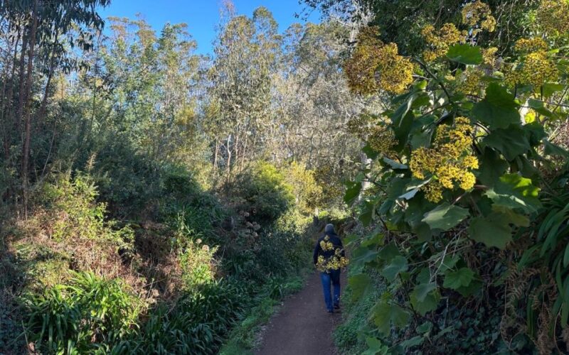 Discover the Paradise Valley - a quick escape for Everyone - Key Points