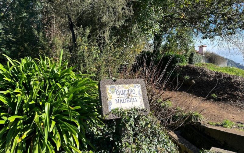 Discover the Paradise Valley - a quick escape for Everyone - Scenic Views and Flora of Camacha Forest