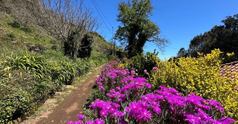 Discover the Paradise Valley - a quick escape for Everyone - The Expertise of the Guides and Tour Atmosphere