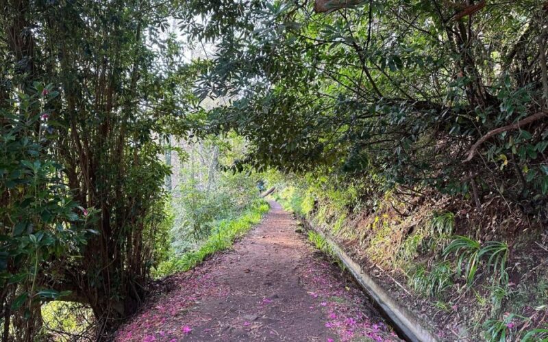 Discover the Paradise Valley - a quick escape for Everyone - Price and Value for Money