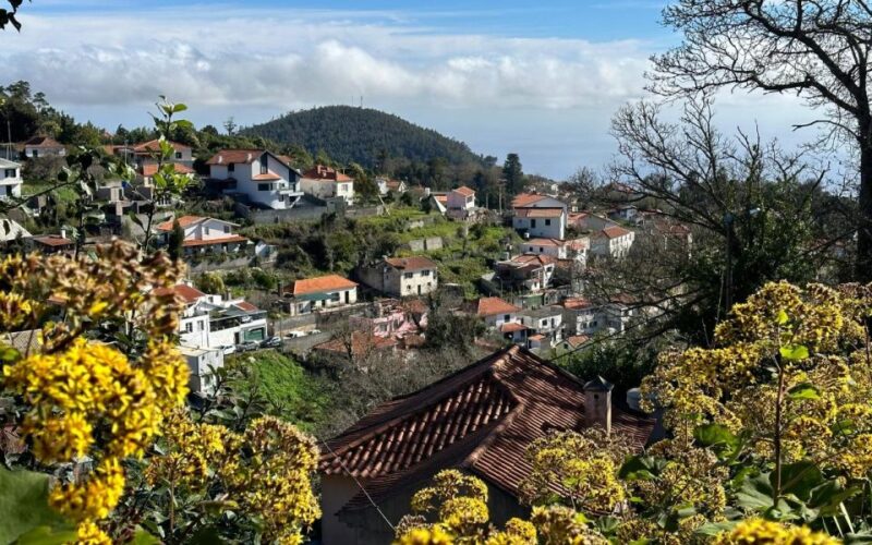 Discover the Paradise Valley - a quick escape for Everyone - Who Should Consider This Tour