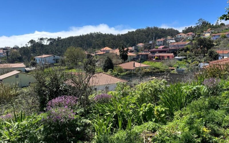 Discover the Paradise Valley - a quick escape for Everyone - The Sum Up: A Relaxed and Scenic Madeira Experience