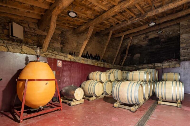 Discover the Ribeira Sacra with a unique wine experience! - Key Points