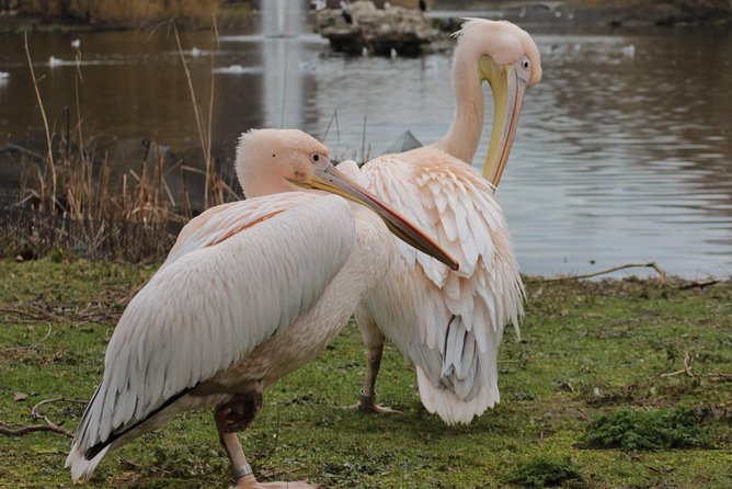 Discover the Secrets of Whitehall - Inside the Heart of British Democracy: Houses of Parliament