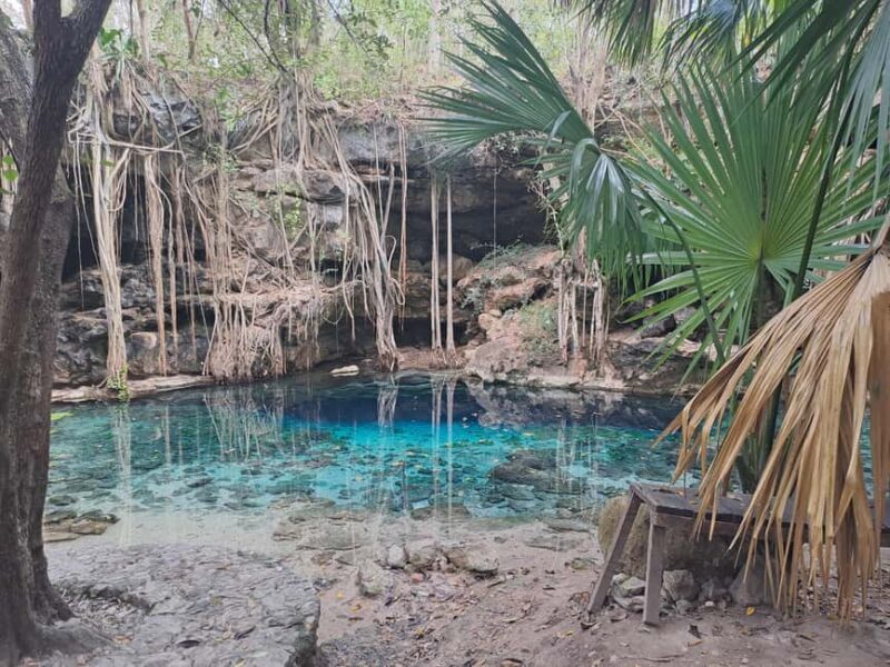 Discover the Serenity: A Tour of the Hidden Cenotes (PVT) - Discover the Serenity: A Private Tour of Hidden Cenotes in Yucatán