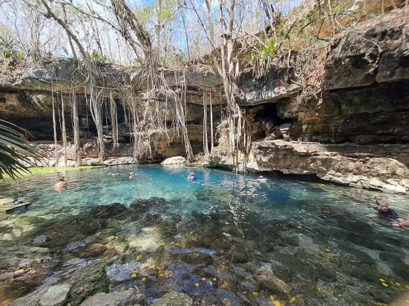 Discover the Serenity: A Tour of the Hidden Cenotes (PVT) - The Unique Experience at Cenote Xbatun