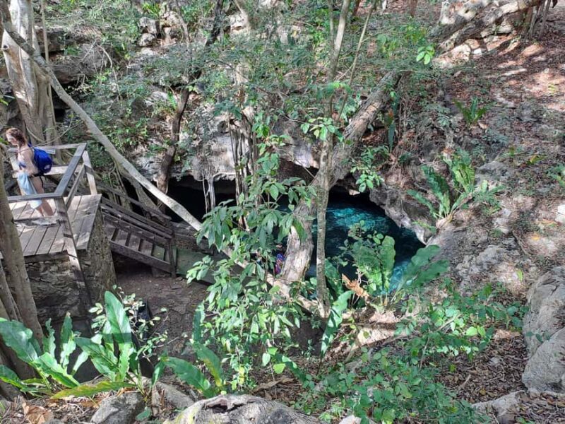 Discover the Serenity: A Tour of the Hidden Cenotes (PVT) - Why Choose This Private Cenote Tour?