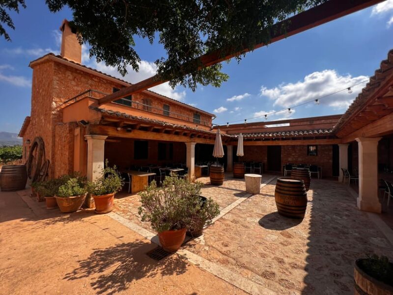 Discover the treasures of the Mallorca wine on a top winery - The Scenic Setting and Atmosphere