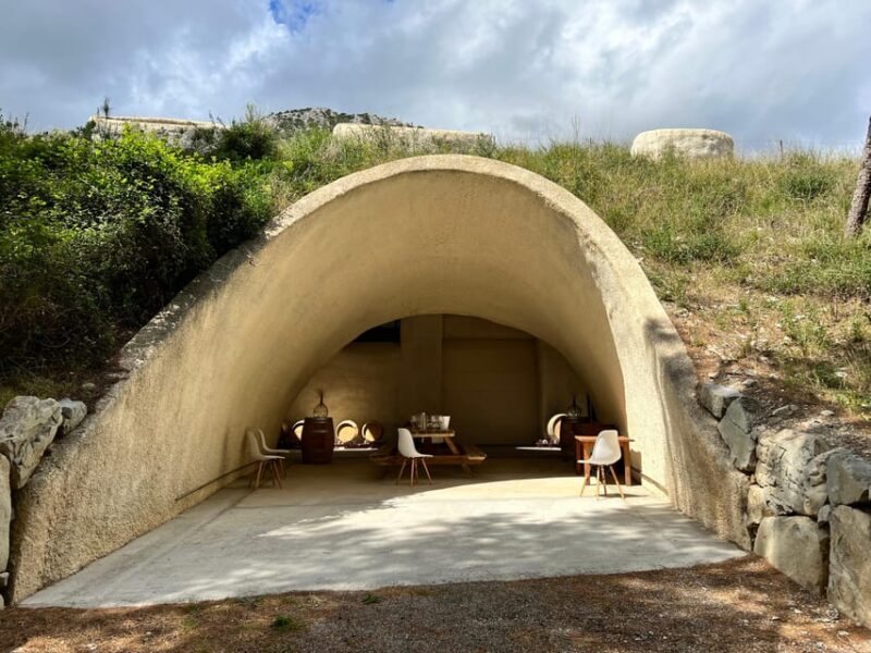 Discover the treasures of the Mallorca wine on a top winery - The Guide’s Role and Knowledge