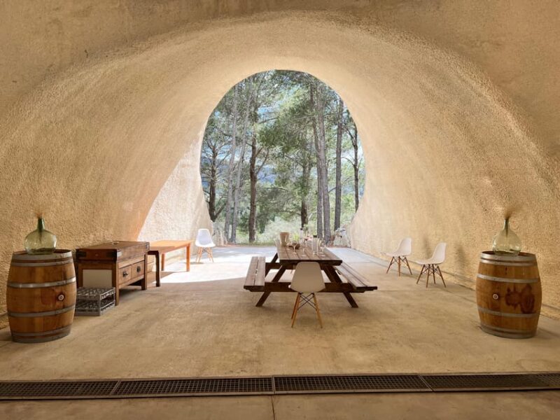 Discover the treasures of the Mallorca wine on a top winery - Accessibility and Practical Tips
