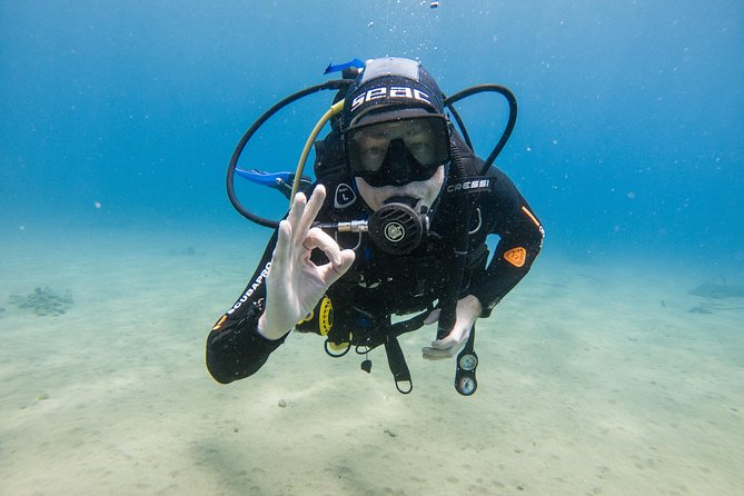 Discover the underwater world of Lanzarote - The Professional Instructors and French Support
