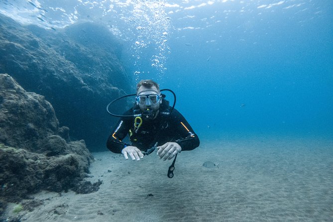 Discover the underwater world of Lanzarote - The Safety and Supportive Environment