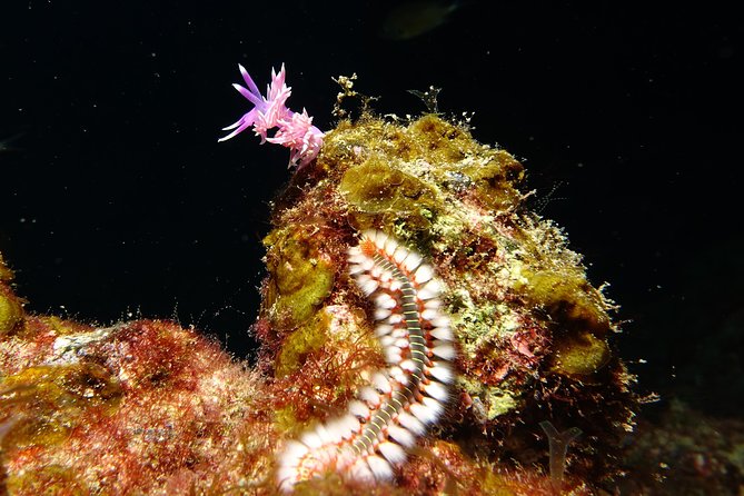 Discover the underwater world of Lanzarote - Weather and Cancellation Policies