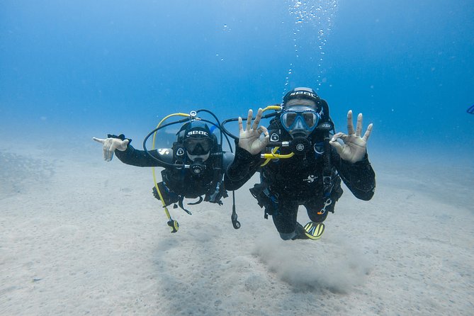 Discover the underwater world of Lanzarote - Who Should Book This Tour