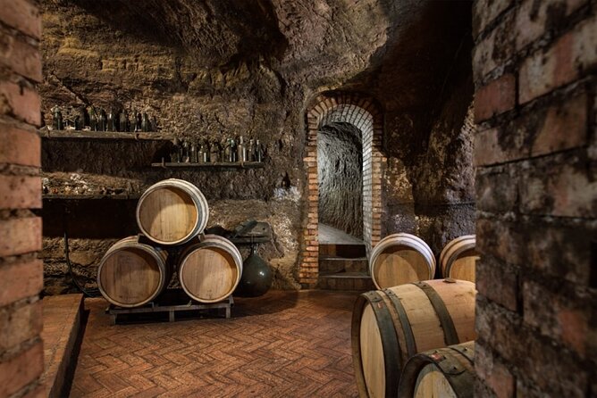 Discover the volcanic tuff caves and taste excellent Lucanian wines - Logistics and Meeting Details
