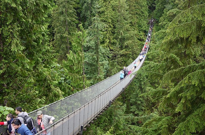 Discover the Wild Beauty of North Vancouver - Who Will Appreciate This Tour?
