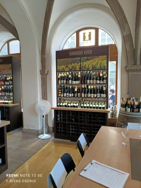 Discover the Wines of Alsace and a brief introduction to Strasbourg. - Strasbourg’s Cathedral and Historic Squares