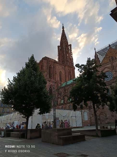 Discover the Wines of Alsace and a brief introduction to Strasbourg. - Logistics, Accessibility, and Practical Tips