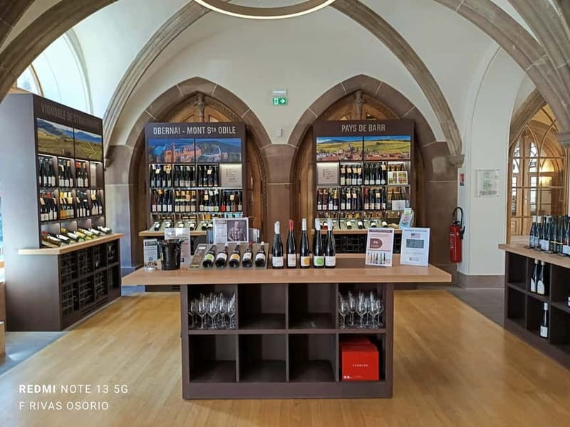 Discover the Wines of Alsace and a brief introduction to Strasbourg. - Final Thoughts: Combining Culture, Scenery, and Wine in Strasbourg