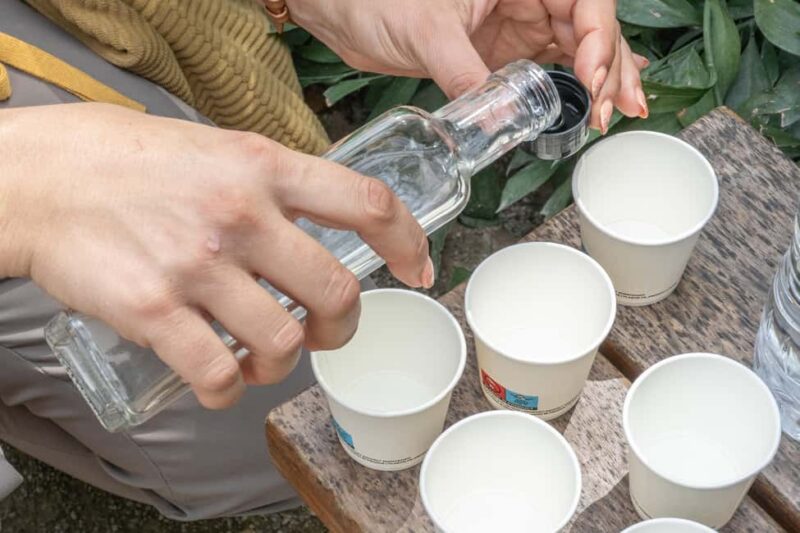 Discover the World of Herbs in the National Garden of Athens - Plants Central to Greek Mythology and Medicine